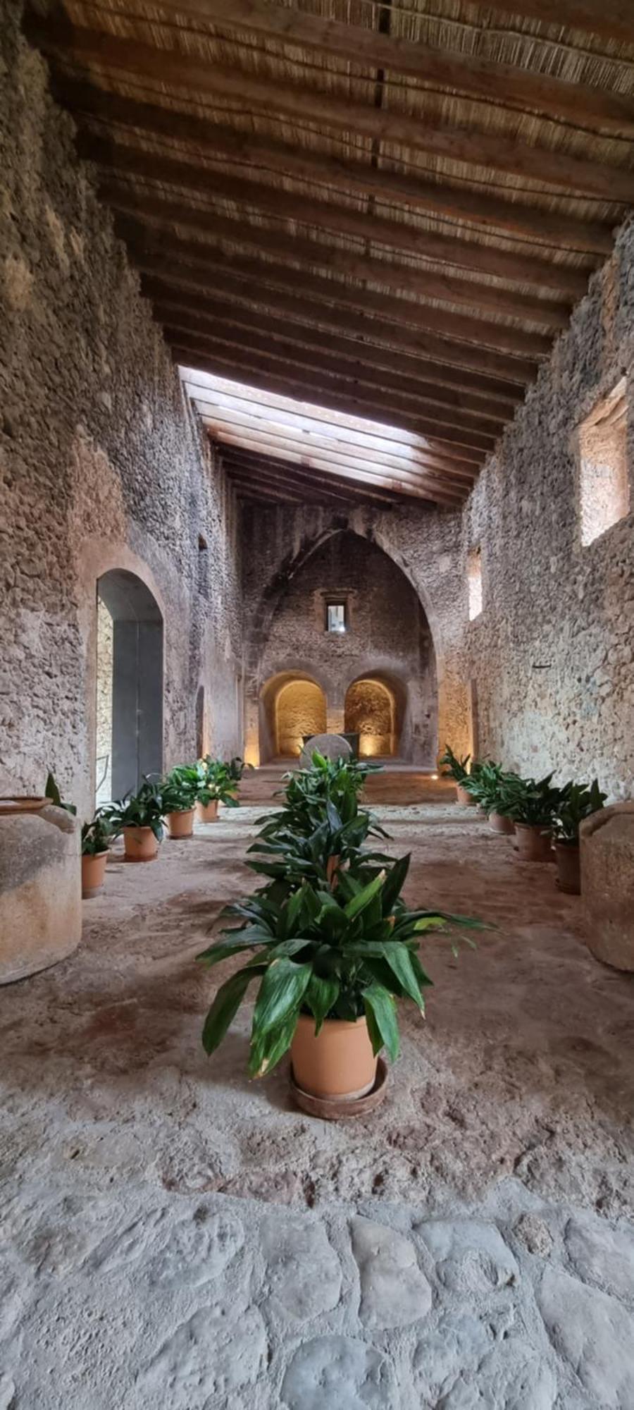 Finca Es Cabas Santa Maria del Cami  Exterior photo